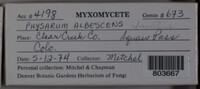 Image Associated With the Occurence
